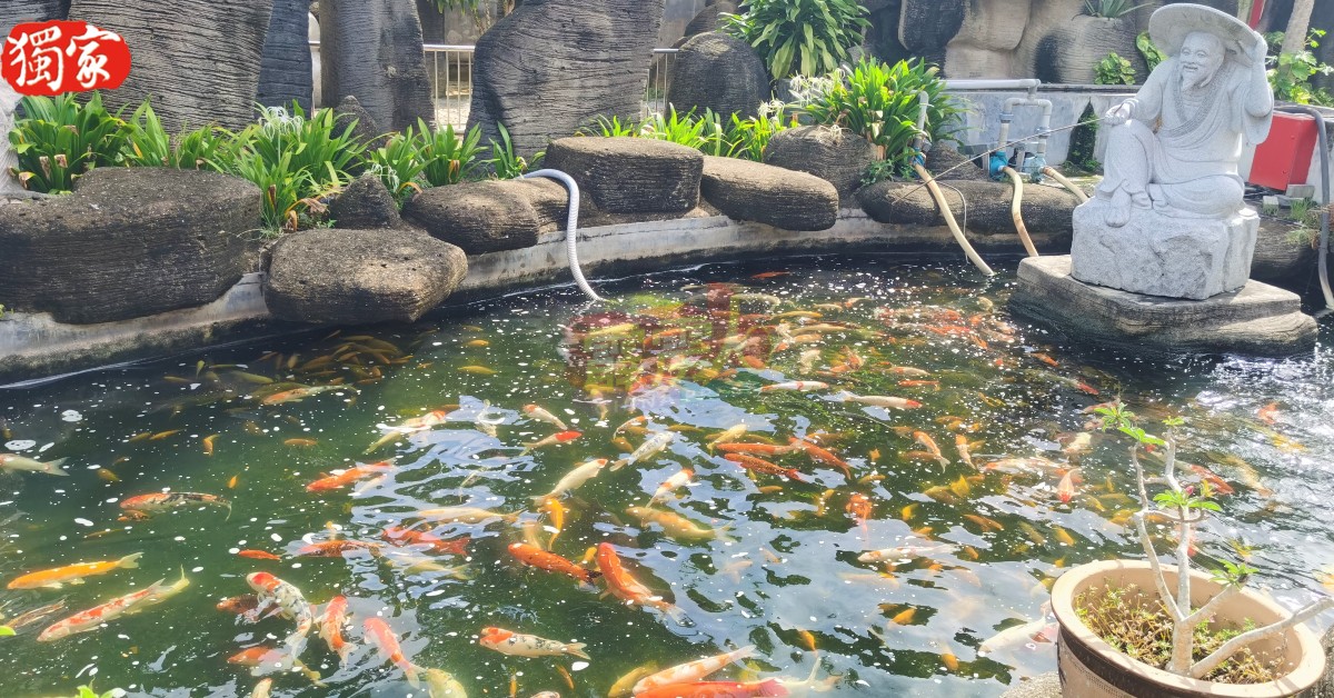 姜太公钓鱼处,鲤鱼成群。
