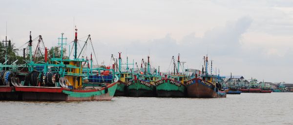 外地渔船已获准进入半港区港口。
