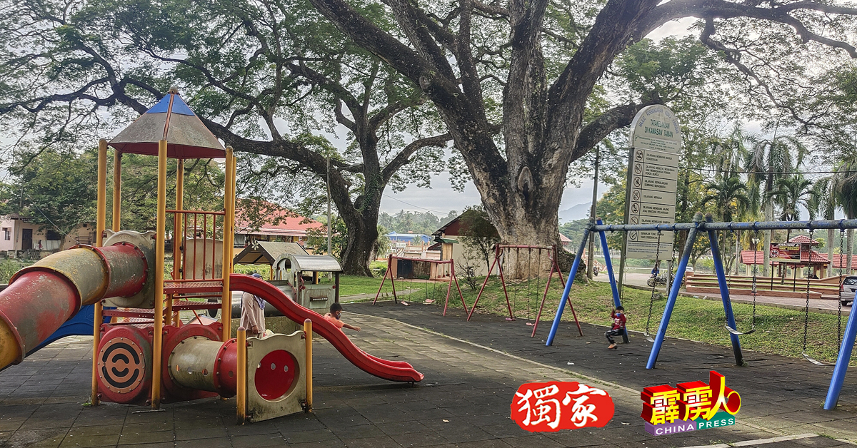 高耸的树林挡去炽热艳阳，许多家长趁假日带着孩子在公园里度过一个凉风习习的午后
