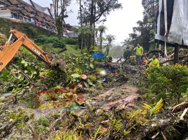 周一旁晚前往Smoke House酒店路段，树倒及土崩造成了其中4名游客受伤。