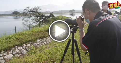 8地点发现83品种          观鸟可到双溪古月