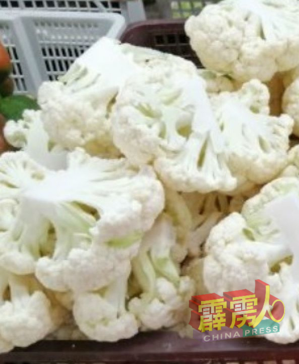 白椰花菜1篮11公斤来货价原为60至70令吉，现在也涨到140令吉。（档案照）