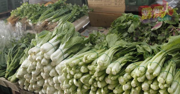 雨季关系蔬菜歉收，以致最近蔬菜价格看涨，消费者被迫吃贵菜。