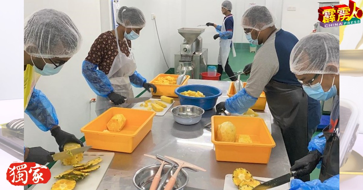 逆境变转机，曼绒纳鲁里有限公司如今是全马生产金钻黄梨产品最齐全及完善的金钻黄梨加工厂。