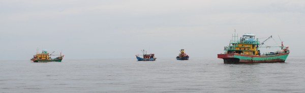 半港绝大部分深海渔船已恢复出海作业。