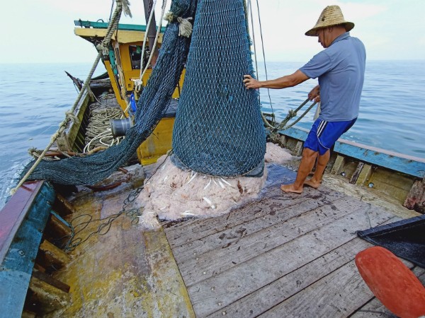 浅海渔民的收获仍属一般。