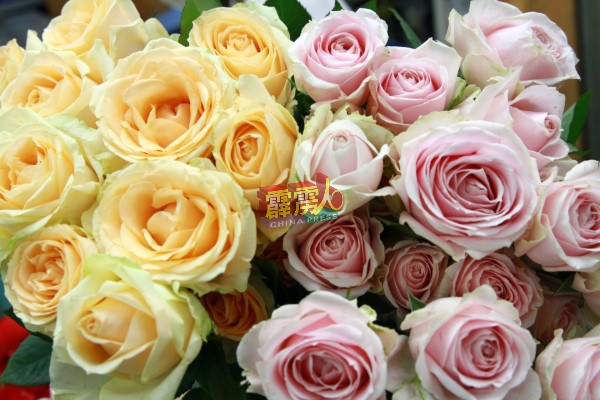 玫瑰成为情人节送花的首选。