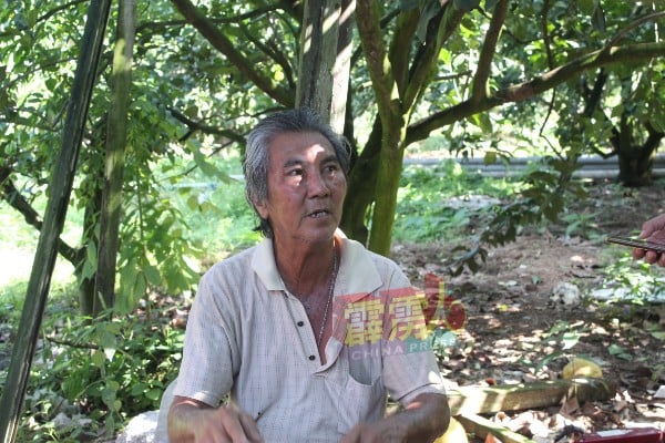 曹建新坦言，这已是他农耕逾50年中，第3次失去土地，随着今次失去最后一片4英亩半土地，本身已再无耕地可种植。