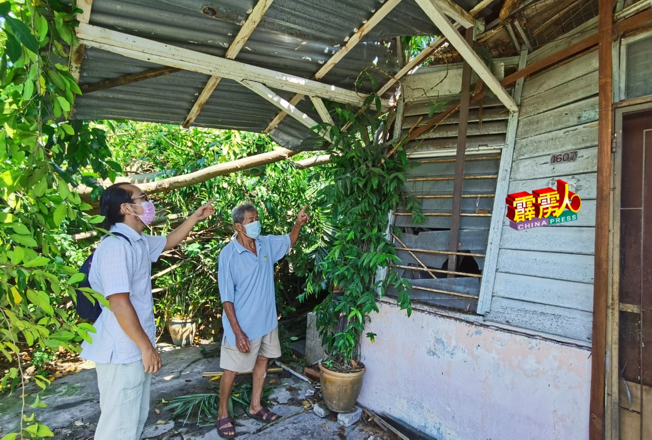 胡华彬（左起）向冯玉佳了解大树压毁木屋的情况。