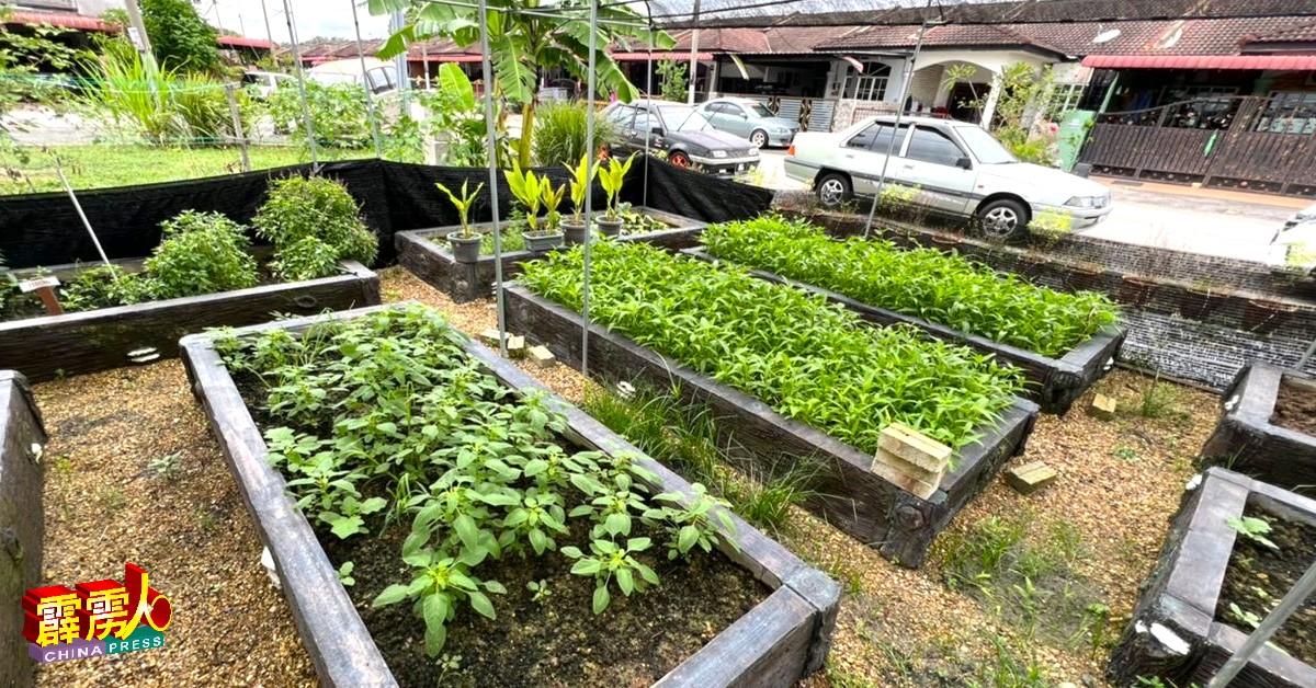 睦邻计划委员会可通过“邻里蔬果园计划”，在住宅区内的公共空地种植蔬果。