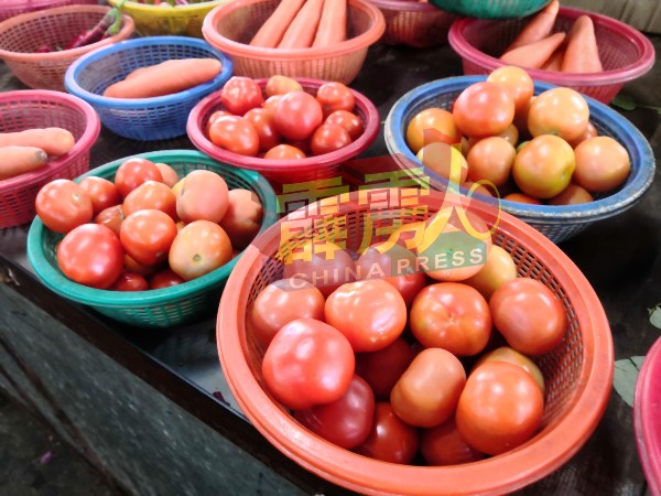 目前仅有小粒的番茄售价便宜，以一小篮方式出售，才1令吉至2令吉。