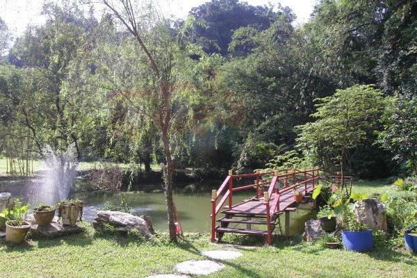 龙头岩紫云洞白云观前面，有一块绿意盎然的休闲处，有小桥、凉亭、池塘、至少百年以上的麻竹。