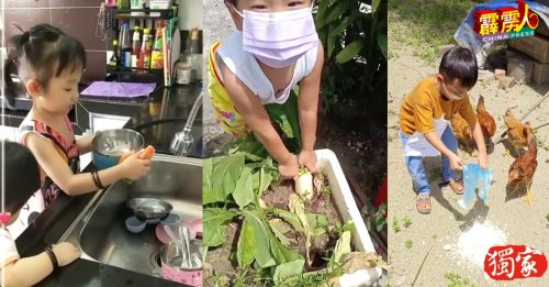 小帮手好得力！  洗渔寮   拔萝卜   下厨  样样行
