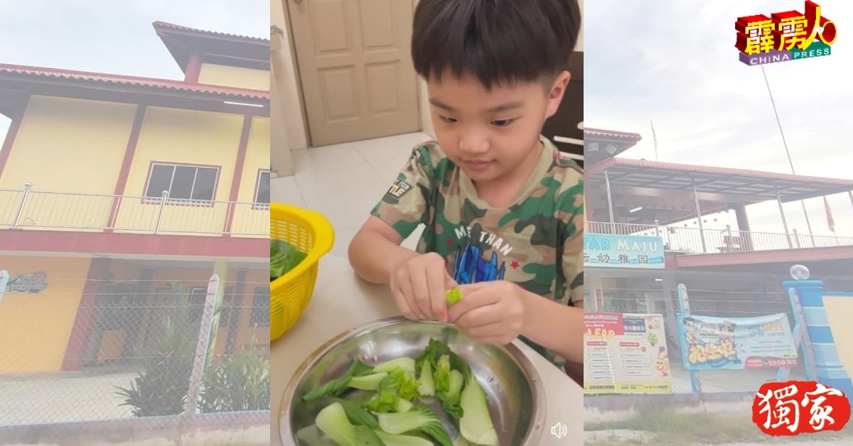 小帅哥认真学摘菜。