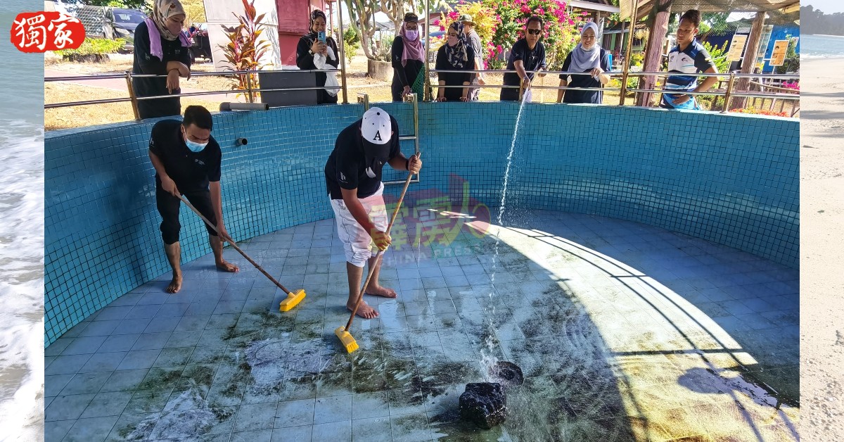 参与者清洗龟池。