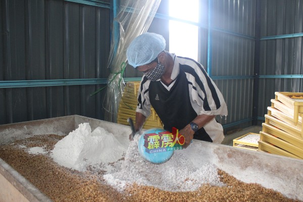 制作酱料原料的原料如黄豆丶面粉等都涨价，业者成本也随之增加。（档案照）