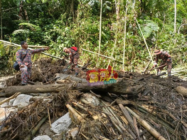 搜寻队伍在堆积的竹枝及树桐，寻找2名失踪者踪迹。