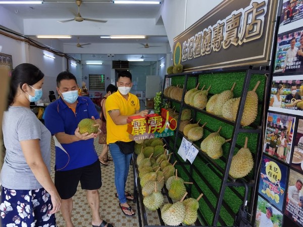 榴槤季节到来，各榴槤专卖店吸引不少市民及游客登门选购。