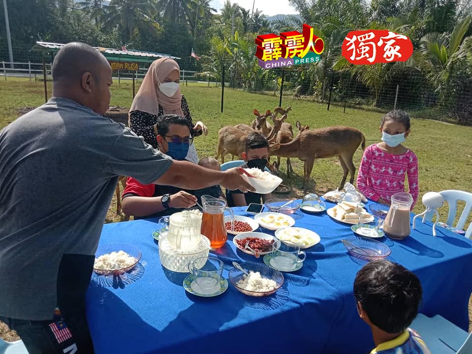 安爸爸（左）亲自招待选购早餐配套，与驯鹿共餐的友人。（图自：Rumah Ayah An Rusa Dan Kelulut Lenggong）