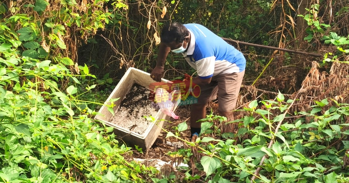 灭蚊大队队员清理被丢弃在草丛的废弃保丽龙箱子。