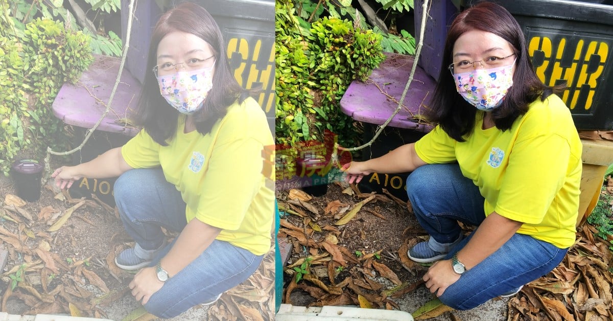 黄渼澐促请民众勿破坏或丢弃放置在住宅区内的诱蚊器。
