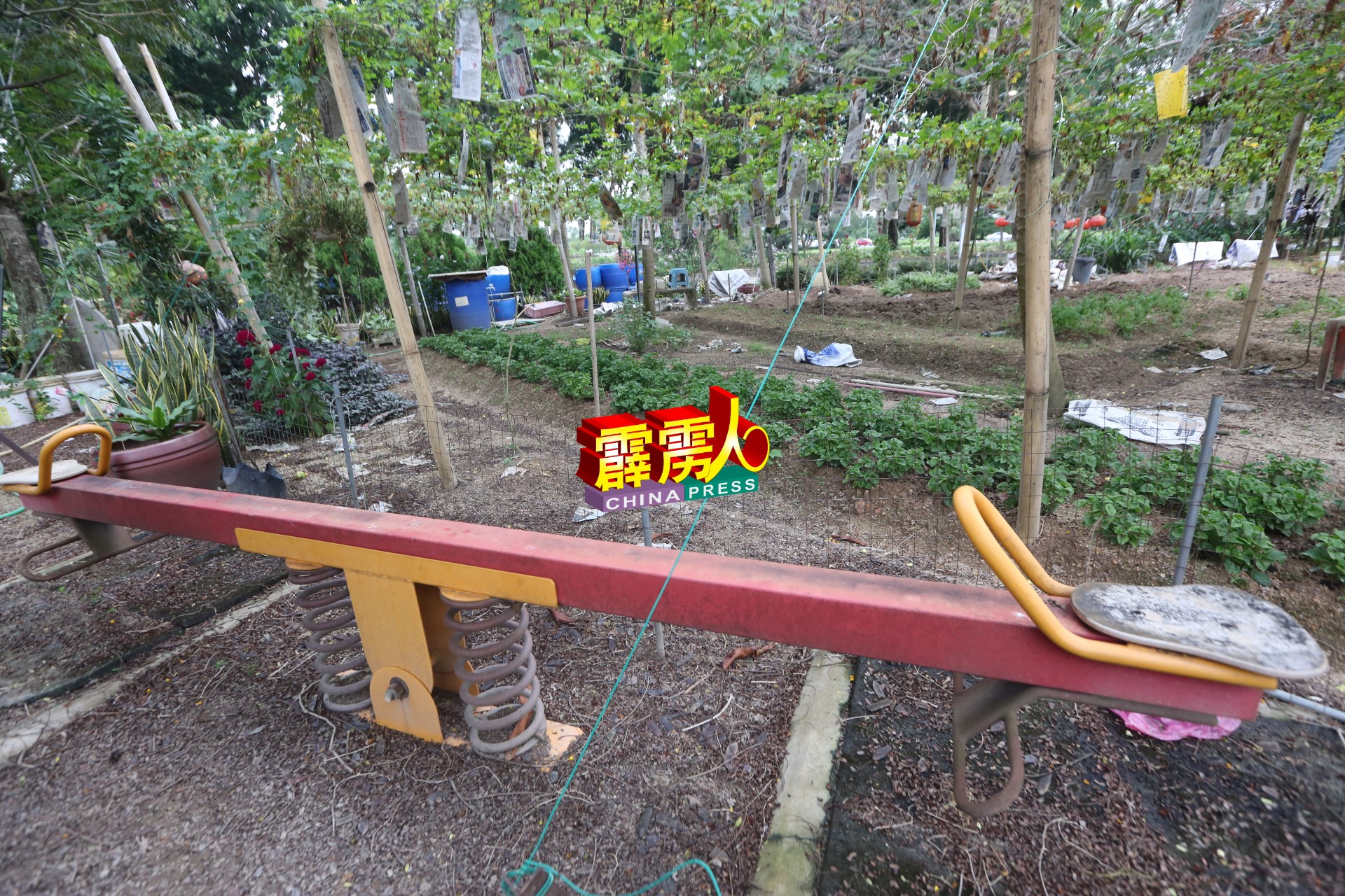 这个跷跷板及滑板也在蔬果园中，唯如今已无法使用。