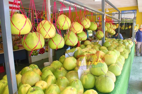 作为中秋节应节食品之一的柚子。