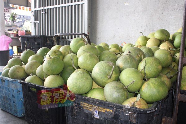 一罗罗的柚子送往批发处，准备转售。
