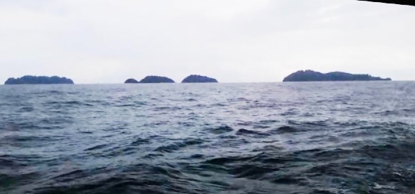 渔业局有意把九屿岛列为海洋公园，周边3海里列为禁捕区。