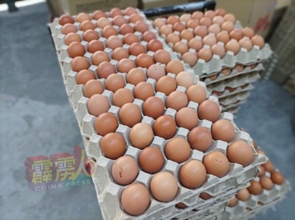鸡蛋是摄取蛋白质的食物，其每天需求量非常高。