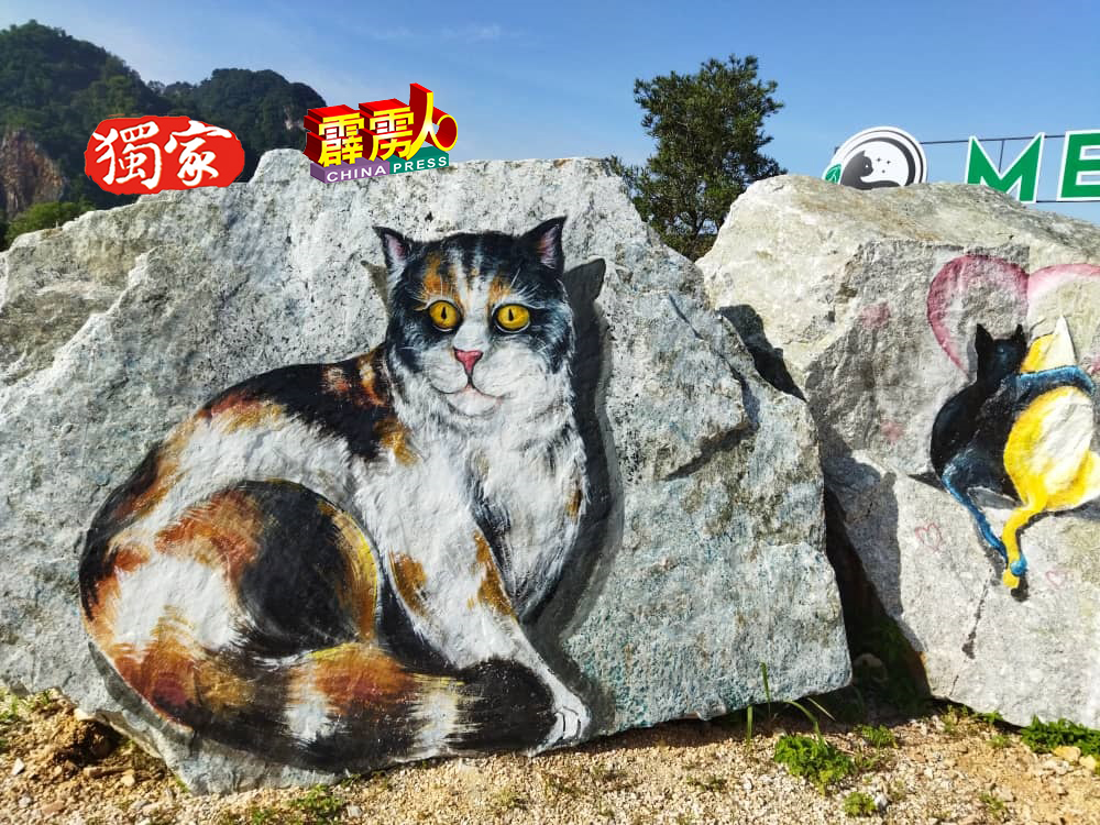 石猫展现出可爱的一面，成为打卡胜地。