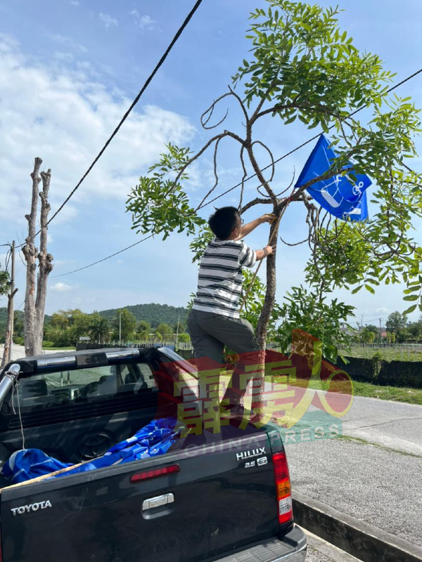 市区一名工人正在拆掉挂在树枝间的旗帜。