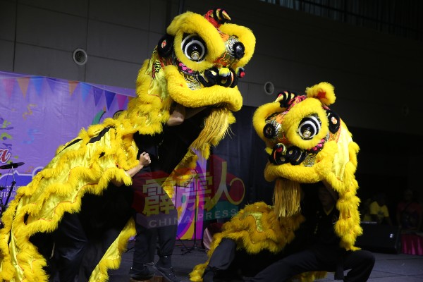 由霹雳智飞太极蔡李佛武术学会的队员，为大会带来一场精彩的的舞狮。