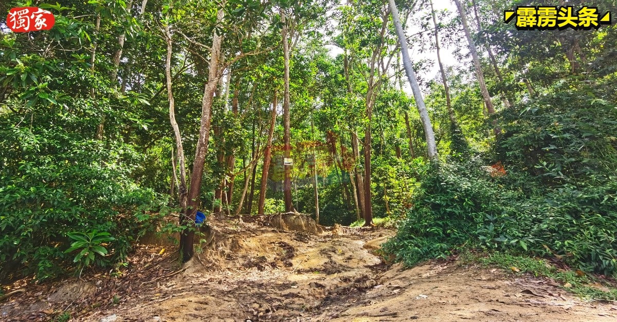 “300山”的山路布满泥泞，登山者受促暂停止登山活动。