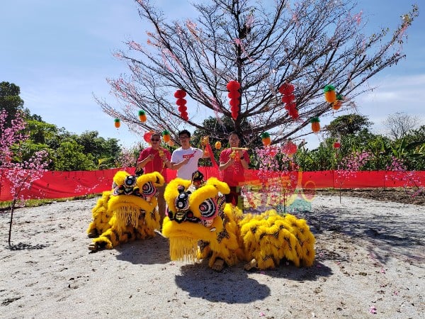 吴锡华（右起）、李存孝及雷国强在祈愿树树下许愿、