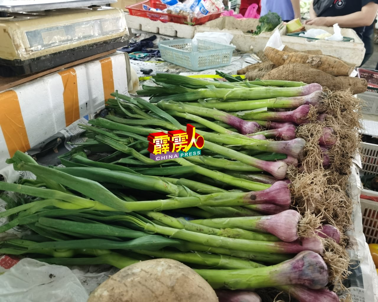 肥美的中国蒜价格稍降价了，是传统年菜之一。