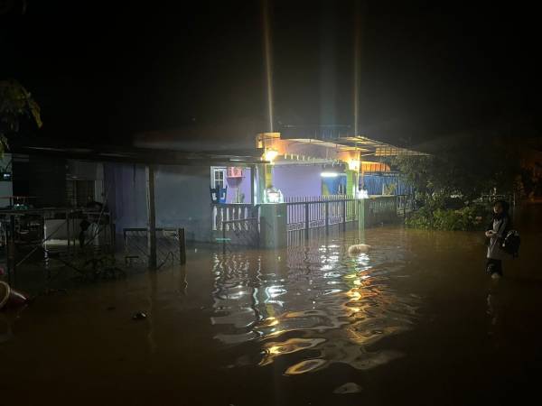 仕林河仕林伯迈花园共有50名灾黎受突发水灾影响。