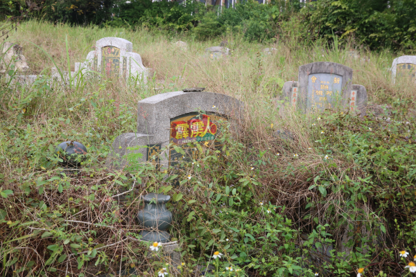 一些墓地已长满杂草。