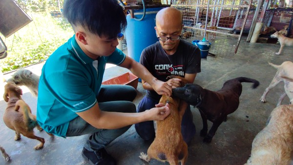 吴培祖（左）与陶炫均正为狗儿注射。
