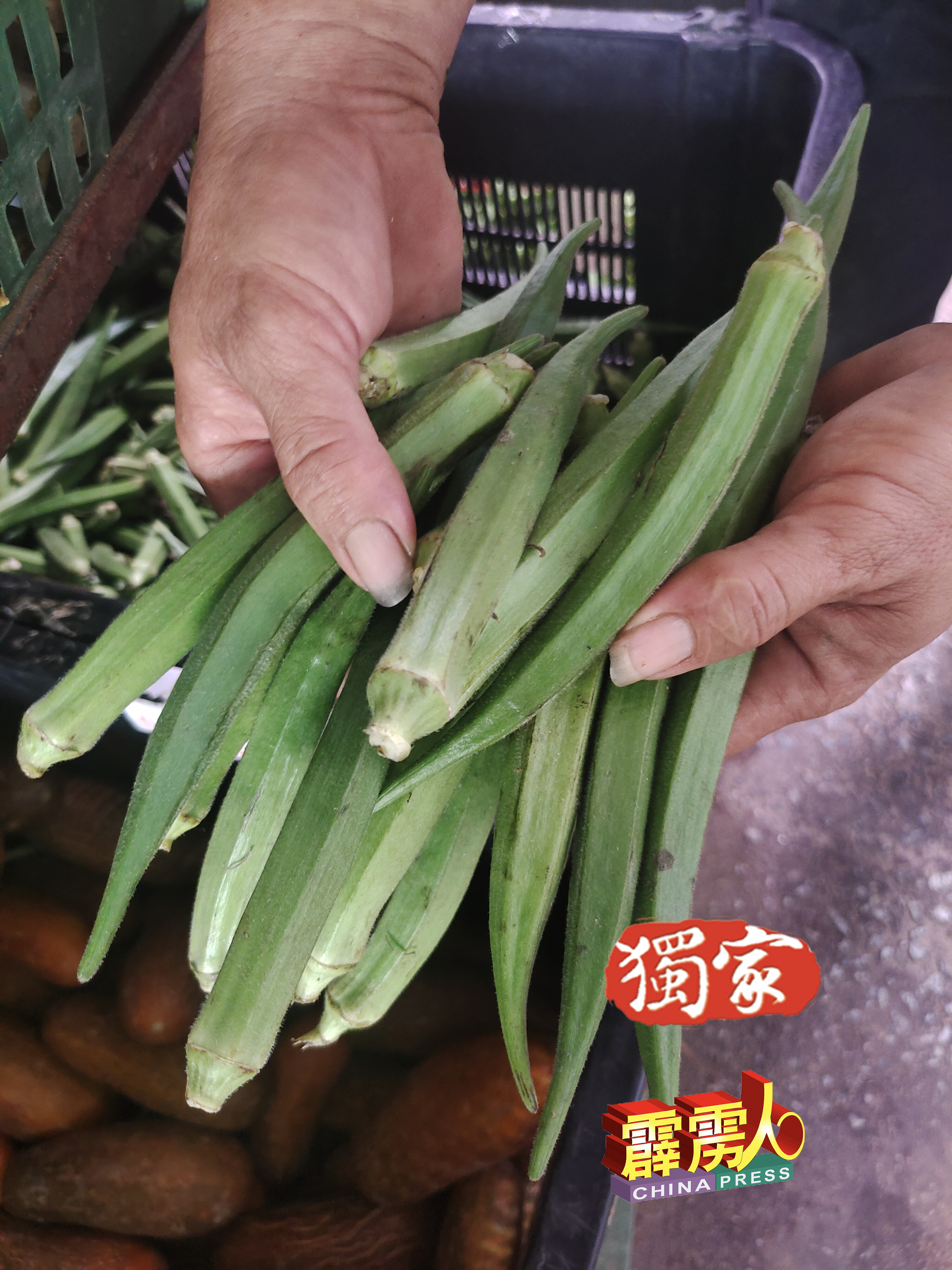 羊角豆目前在江沙巴刹的零售价是每公斤8令吉。