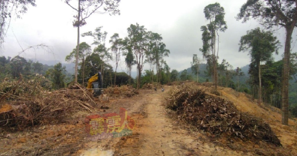 原住民申述，他们在毫无预警之下，遭开发商的2辆重型推土机销毁了该村旁的种植园。