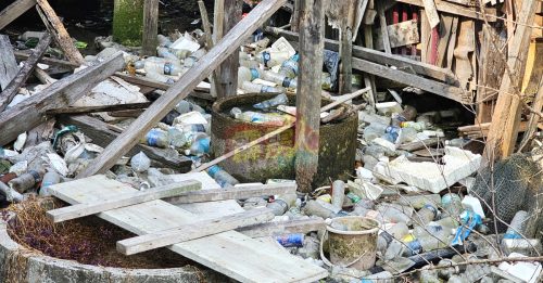 垃圾随处乱丢   遍布街道、住处、渔寮   黑斑蚊也跟着来