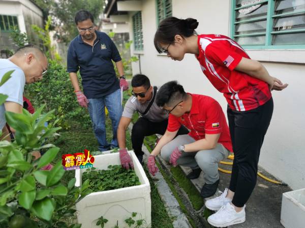 ■崔慈恩（右起）及李存孝，觀察阿斯哈檢查民宅的種植器皿，以免成為蚊虫滋長溫床。左起為李斯豪及拉曼。