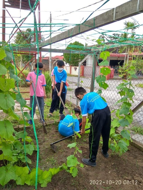 学生在课余时间参与种植，届时会售卖师生种植的花卉与蔬果。