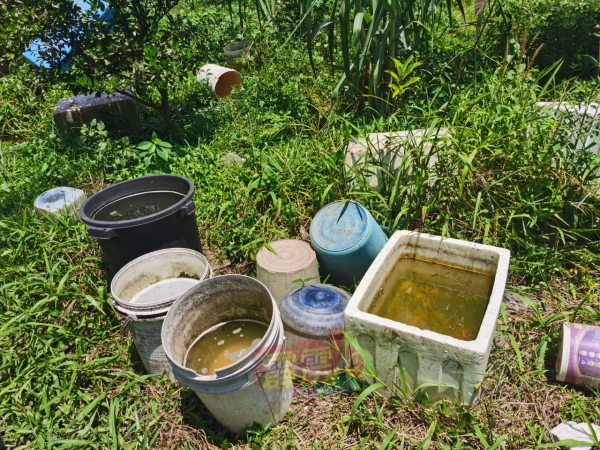 各种盛水的器皿，都可能是黑斑蚊繁殖温床。 （档案照）
