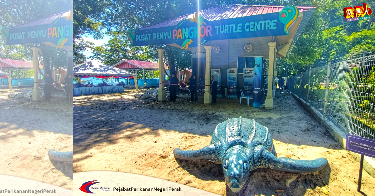 霹州政府将通过宪报，把邦咯岛直落哥打邦海龟保育和谘询中心作为海洋生物保护区。