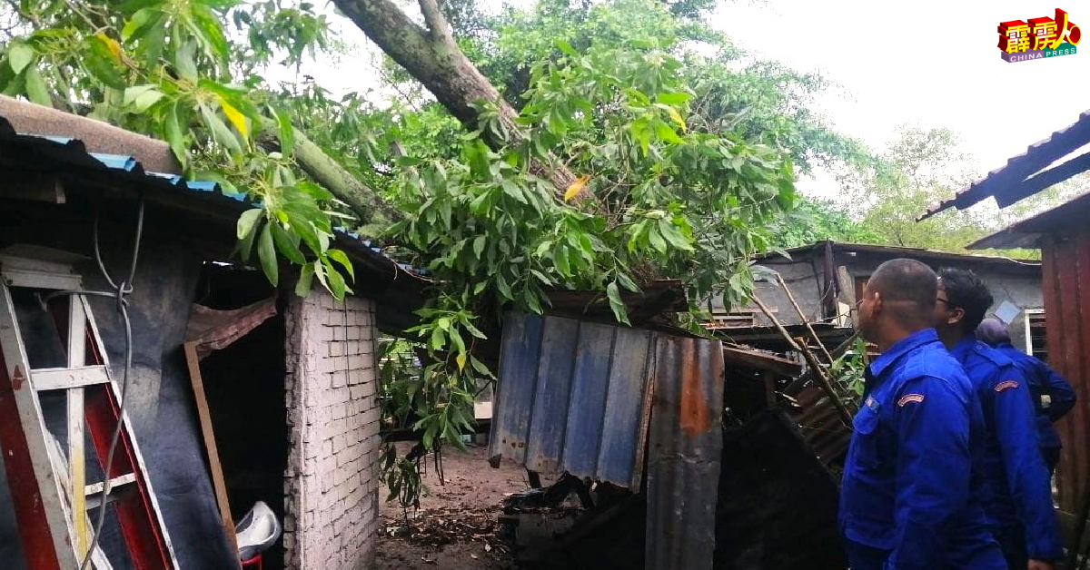 红土坎直落慕洛发生风暴天灾，暴风刮倒大树压毁其中1间民宅的厨房。（曼绒民防部队提供照片）