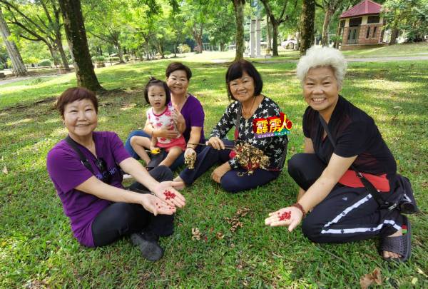 李观风（左）经常与姐妹到昆仑浪休闲作乐，更期待“恐龙乐园”早日落实。