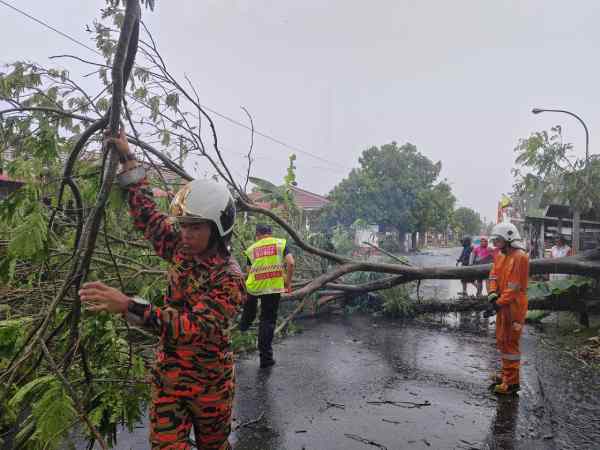 怡保消拯局和巴占义务消防队到场协助清理倒树。（巴占义务消防队提供）