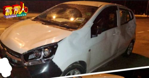 群象闯大道遭撞  它们发狂踩车